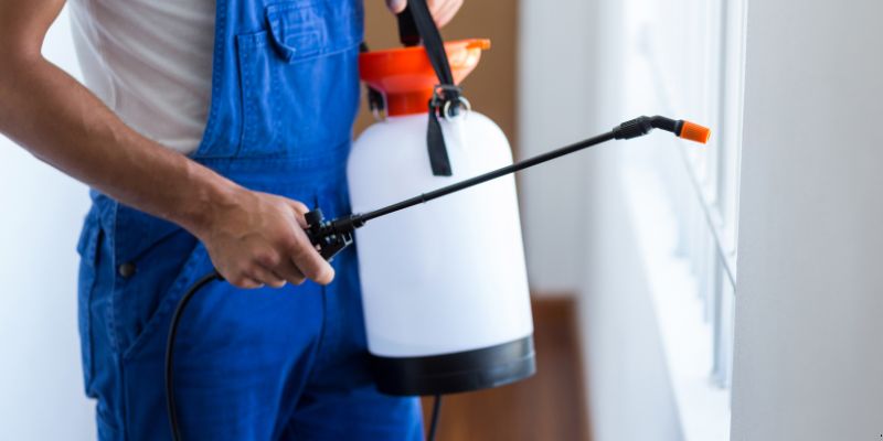 Como Fazer Dedetização em Casa em Bauru: 4 Dicas Simples Como fazer dedetização em casa em Bauru