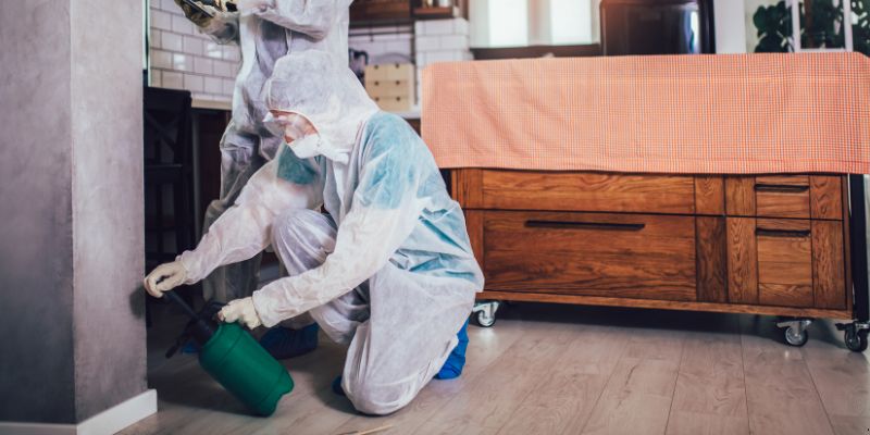 Dedetização em Apartamento Como Funciona em Bauru: Confira 4 Passos Dedetização em Apartamento Como Funciona em Bauru: Confira 4 Passos