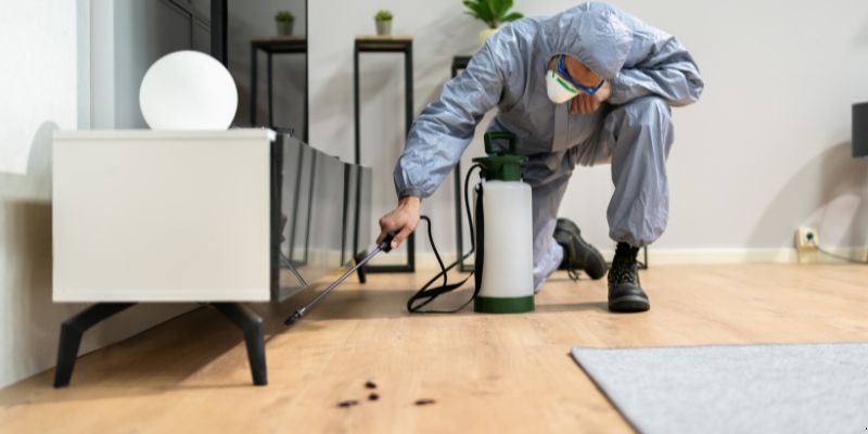 Quanto Tempo Dura Uma Dedetização em Bauru? Confira! Quanto tempo dura uma dedetização em Bauru?